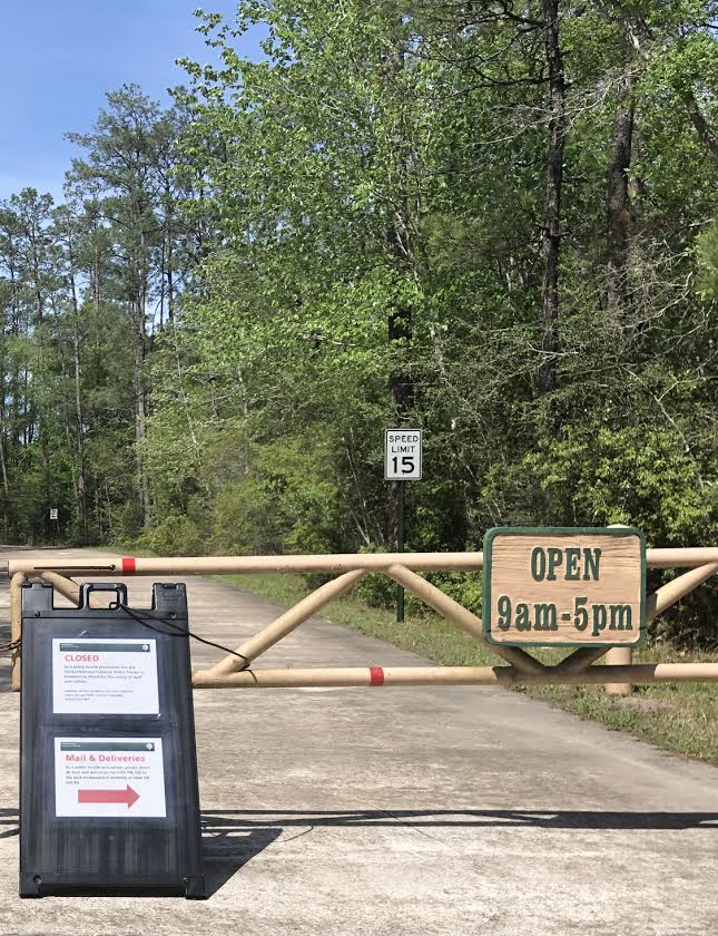 Big Thicket entrance gate
