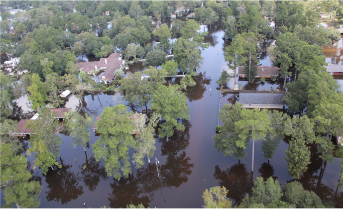 Bevil Oaks after Hurricane Harvey in 2017. 