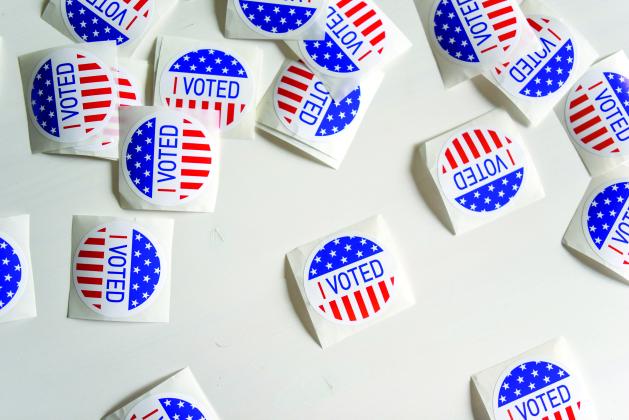 Voting stickers 