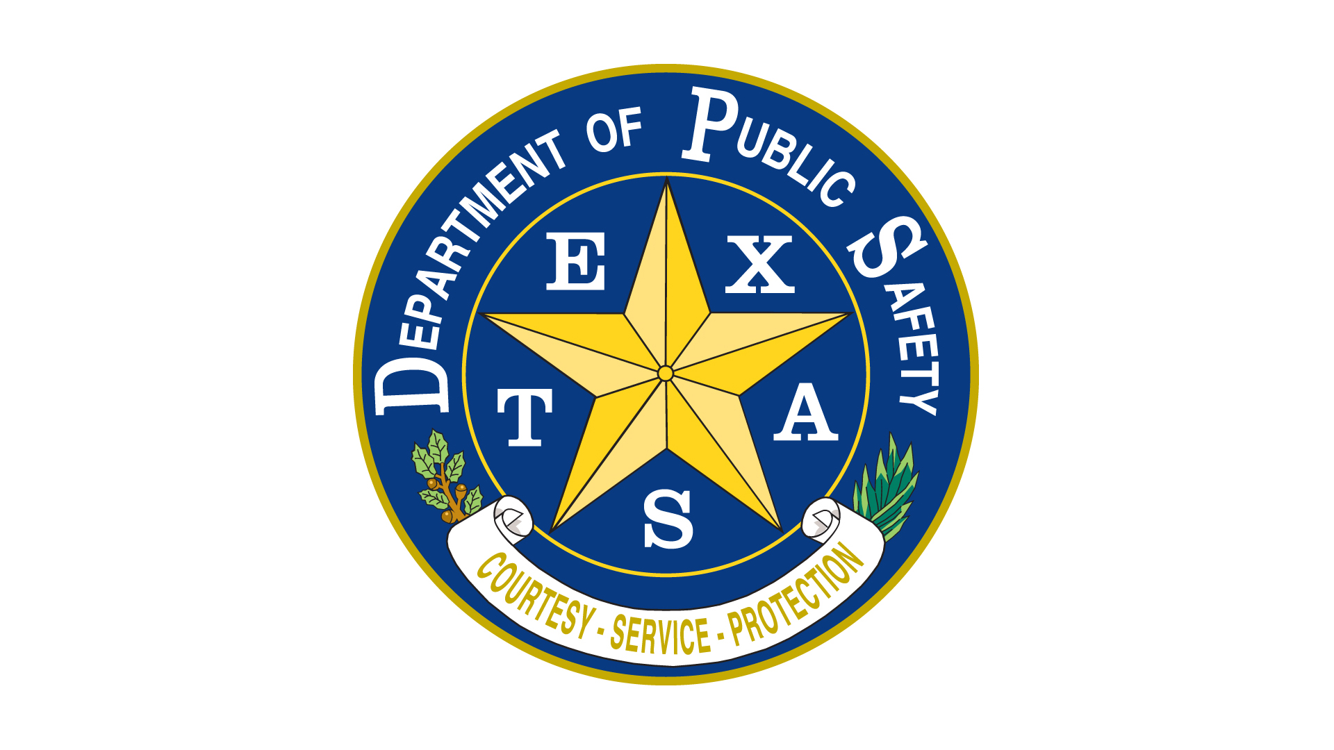 DPS logo