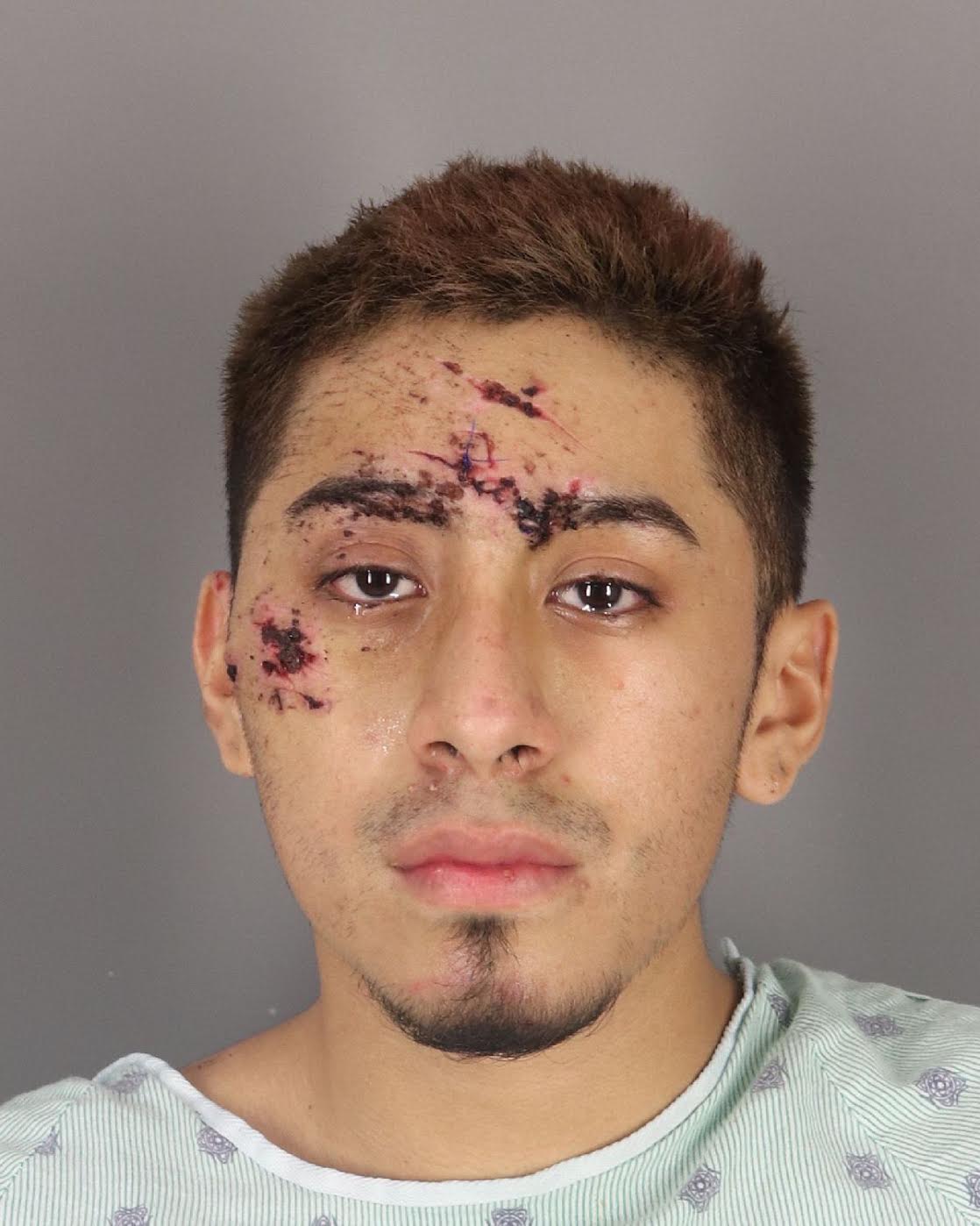 Luis Fernando Torres, 19, of Port Arthur, was arrested Aug. 13, 2020