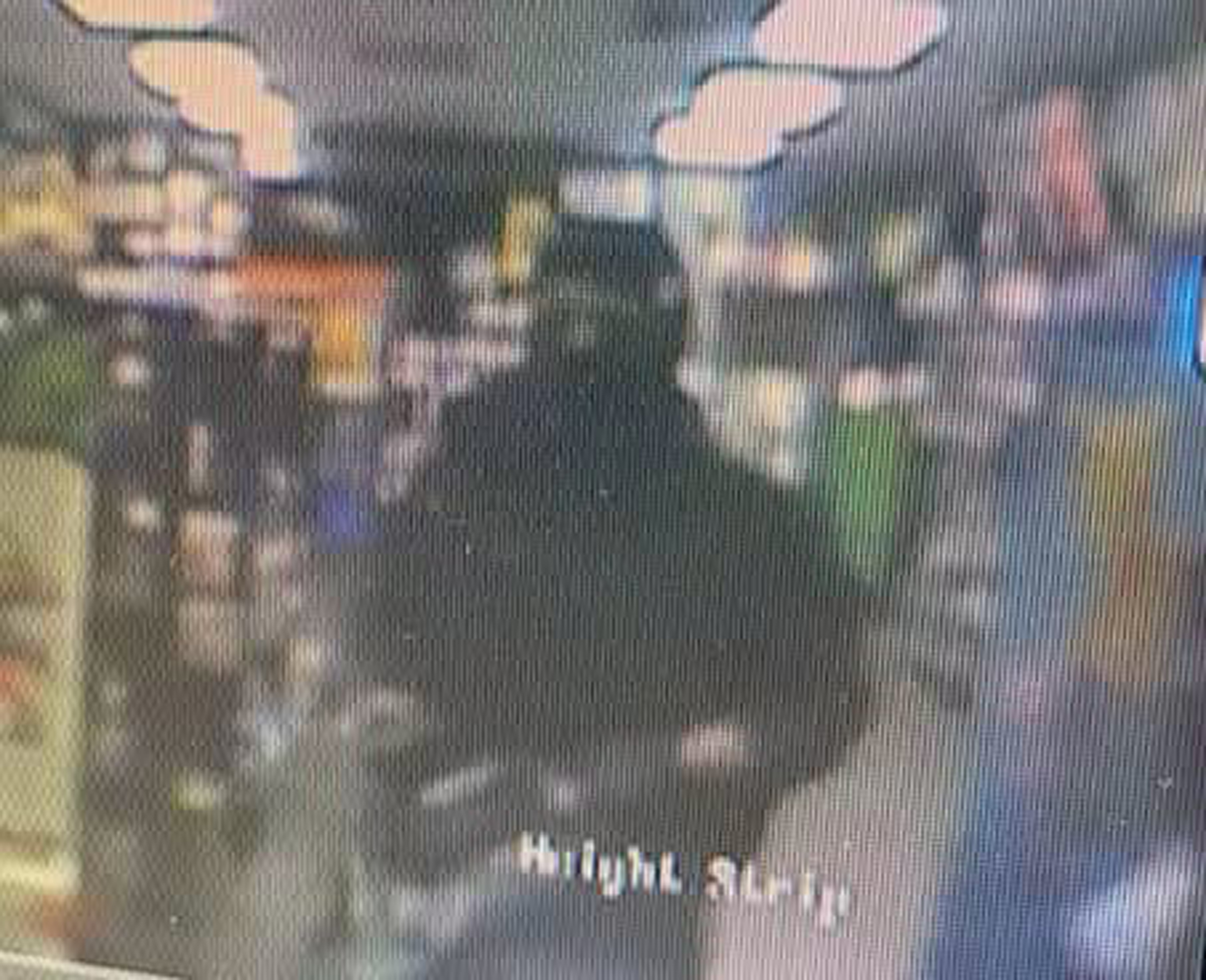 Masked GameStop burglars invade the Northpark Plaza store