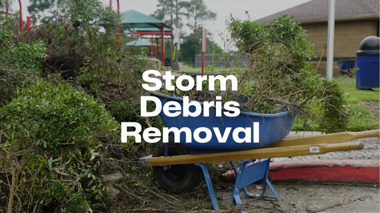 Debris