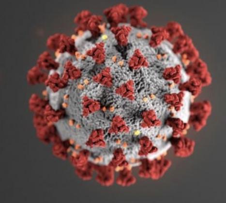 Coronavirus 