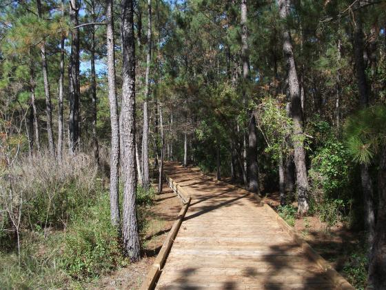 Conservation group secures historic trail through Big Thicket National Preserve