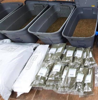 100 pounds of fake weed seized in Port Arthur raid