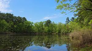 Big Sandy Creek