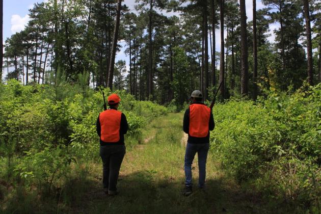 Big Thicket hunting