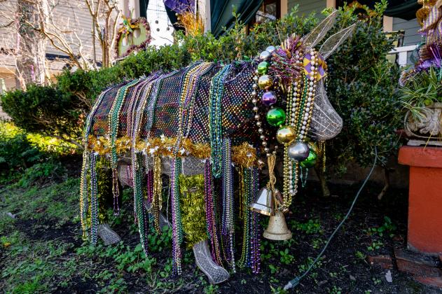 Yard Gras