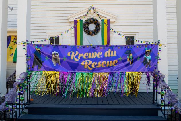 Yard Gras