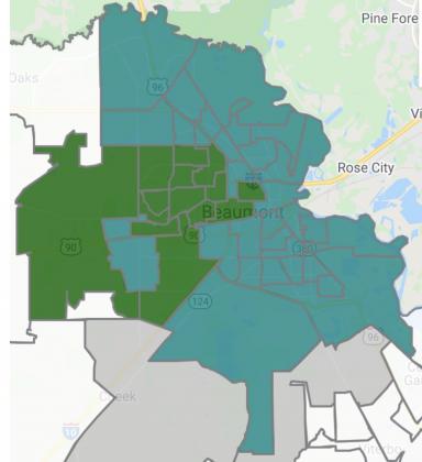 Robin Mouton votes (in teal) compared to Roy West’s (green)
