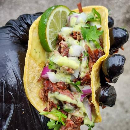 Brisket taco