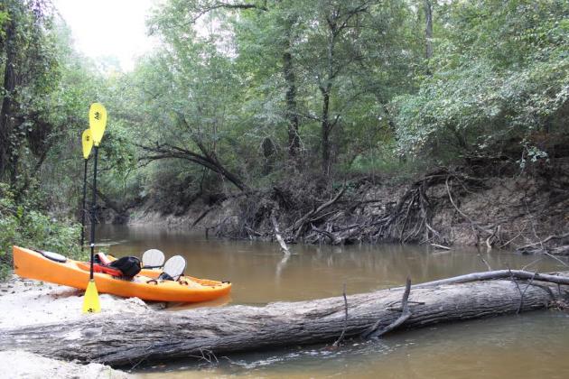 Big Thicket kayaking