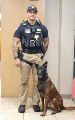 K9 Deputy Rudy