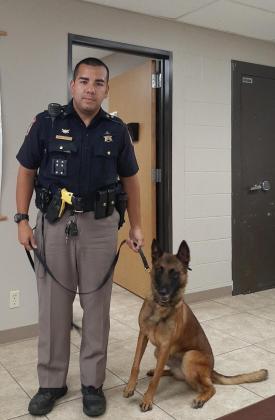 K9 Deputy Phoenix