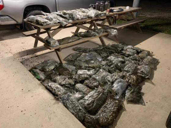 Officers recovered 75 pounds of weed
