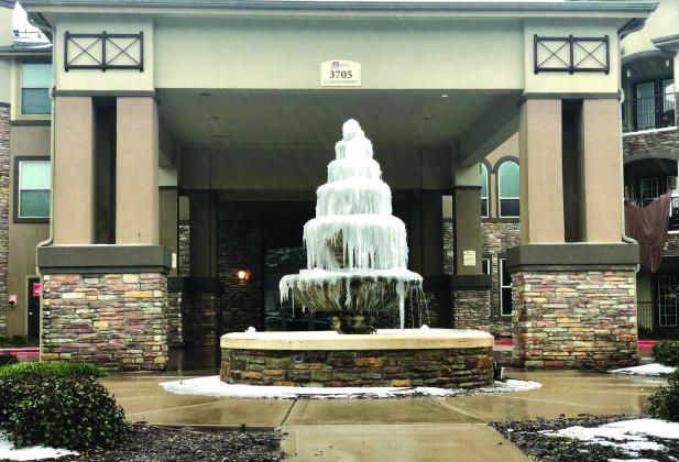 The freeze of February 2021 brings unexpected weather to Southeast Texas.
