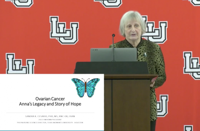 Dr. Sandra Cesario, Ph.D. Program Director and tenured professor in the College of Nursing at Texas Women's University in Houston 