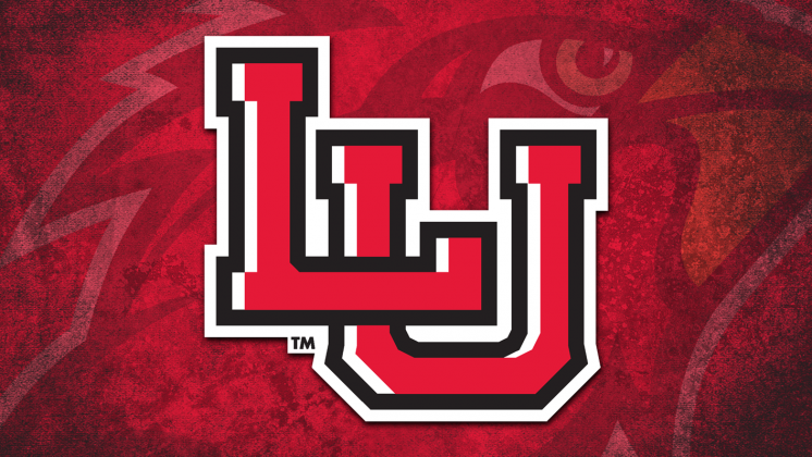 Graphic courtesy of Lamar University.