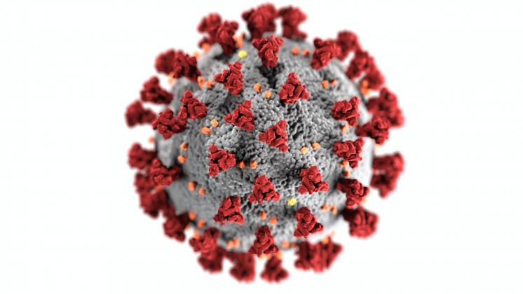 The Beaumont Public Health Department is administering COVID-19 vaccinations by appointment only, and applicants can register online at beaumonttexas.gov. Those who are unable to access the website are asked to call (409) 550-2536 for further assistance.