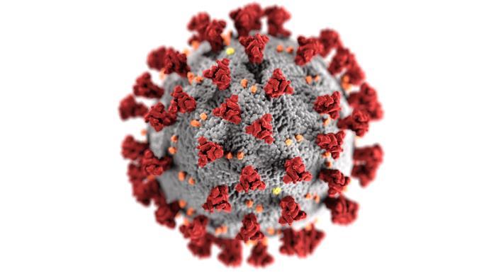 According to data from the Beaumont Public Health Department, 54 Beaumont-area residents tested positive Friday, Feb. 11