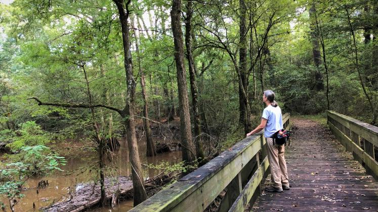 The Big Thicket National Preserve