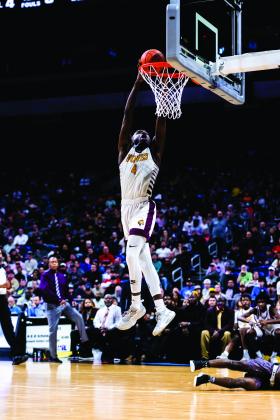 Trealyn Porch with a dunk