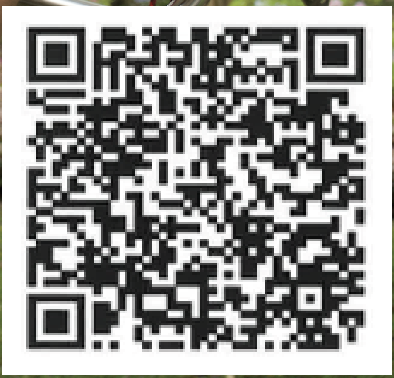 QR code.