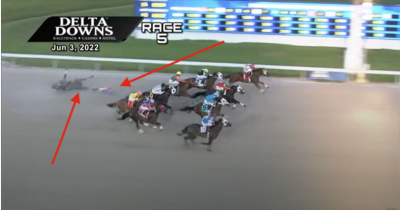 Delta Downs horse falling.