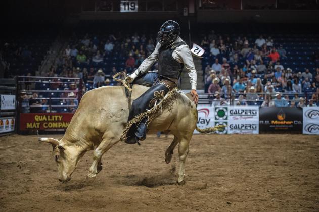 Bull Rider