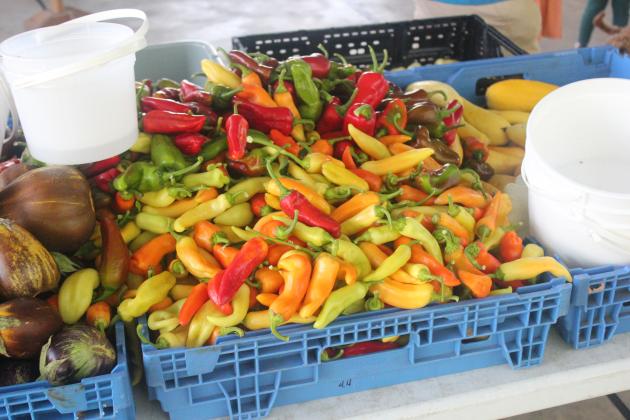 Beaumont Farmer's Market produce