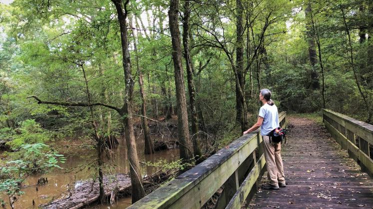 Big Thicket National Preserve