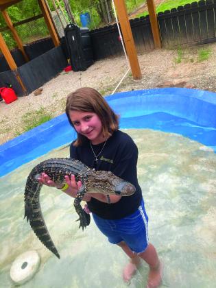 Gator Country will have two live demonstrations at Family Arts Day.
