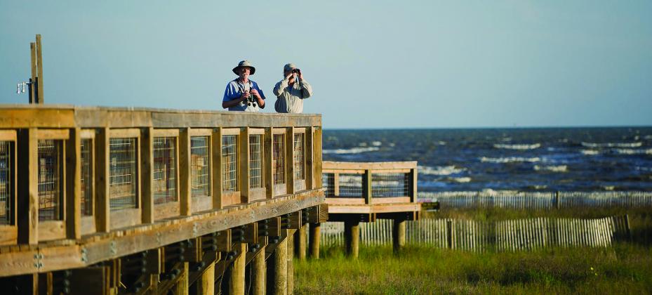 Sea Rim State Park