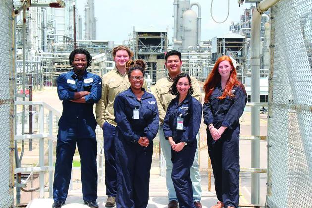 BASF interns 