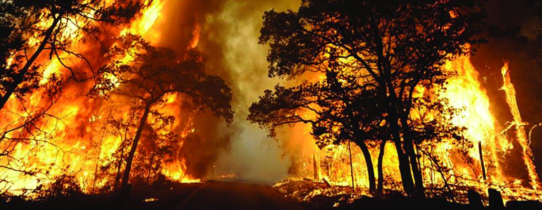 Texas wildfire