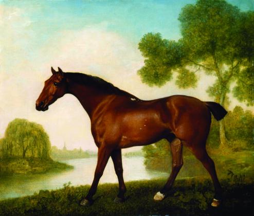 'Truss, A Hunter' by George Stubbs
