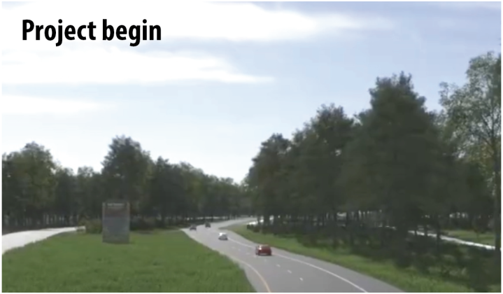 The thicket trees at beginning of project 
