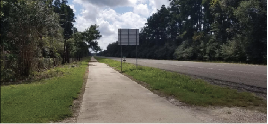 A photo of the Big Thicket roadway as seen currently