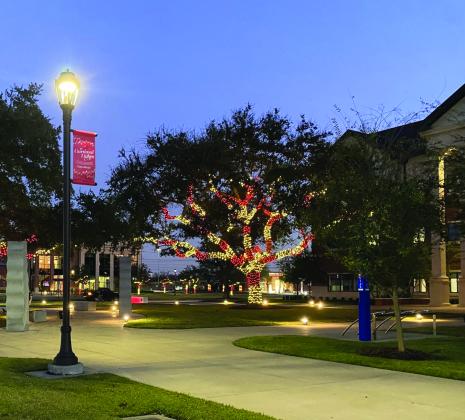 Reaud Honors Building Courtyard