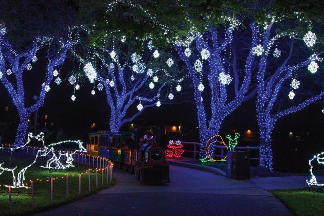 Festival of lights at Moody Gardens