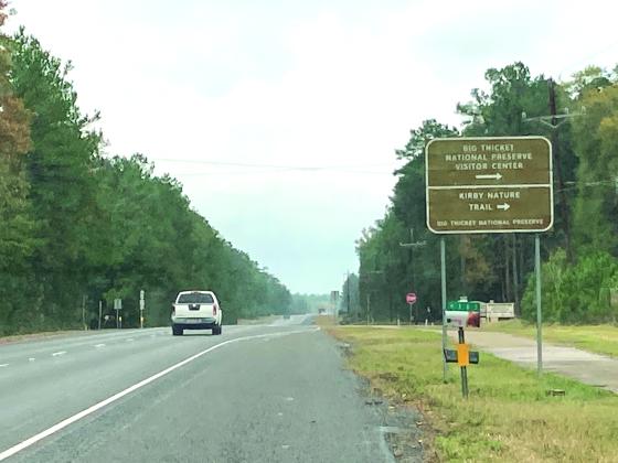 Big Thicket roadway