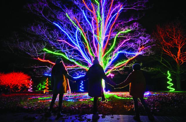 Lightscape at Houston Botanic Garden