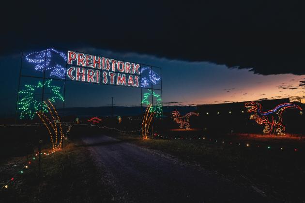 Magic of Lights
