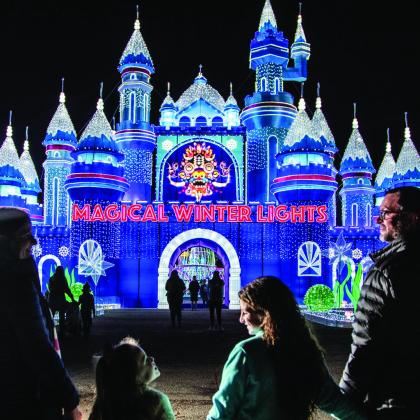 Magical Winter Lights