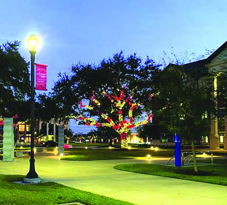 Lights at Lamar