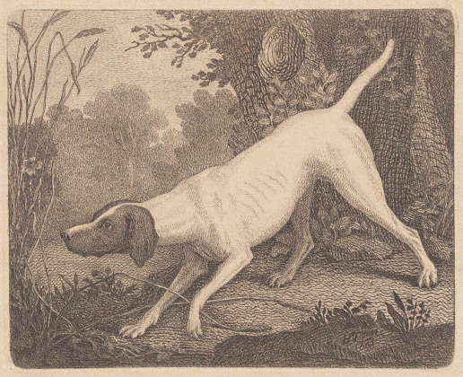 Art Piece of a Hunting Dog 