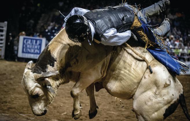 Appreciation for Industry Professional Bull Riding (Photo by Chad Cooper)