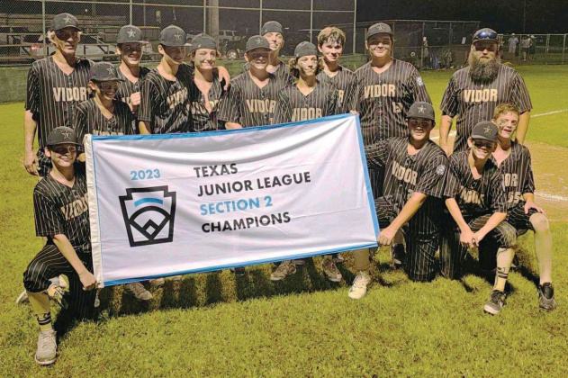 Vidor Junior baseball team