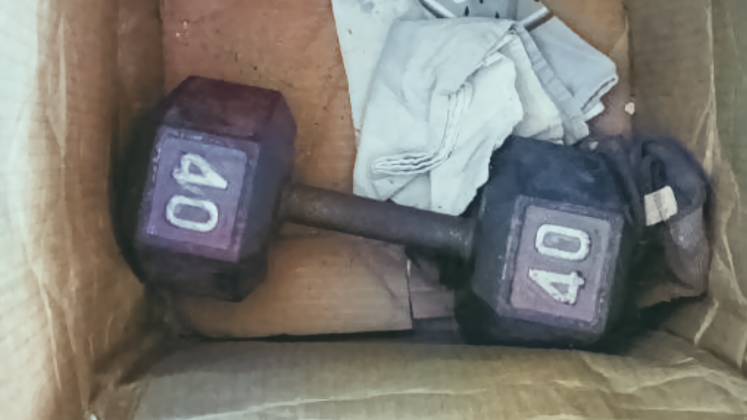 A Palisade, Colorado, package from Gold Pro containing a 40-pound dumbbell sent to a customer that wired White more than $90,000 for coins